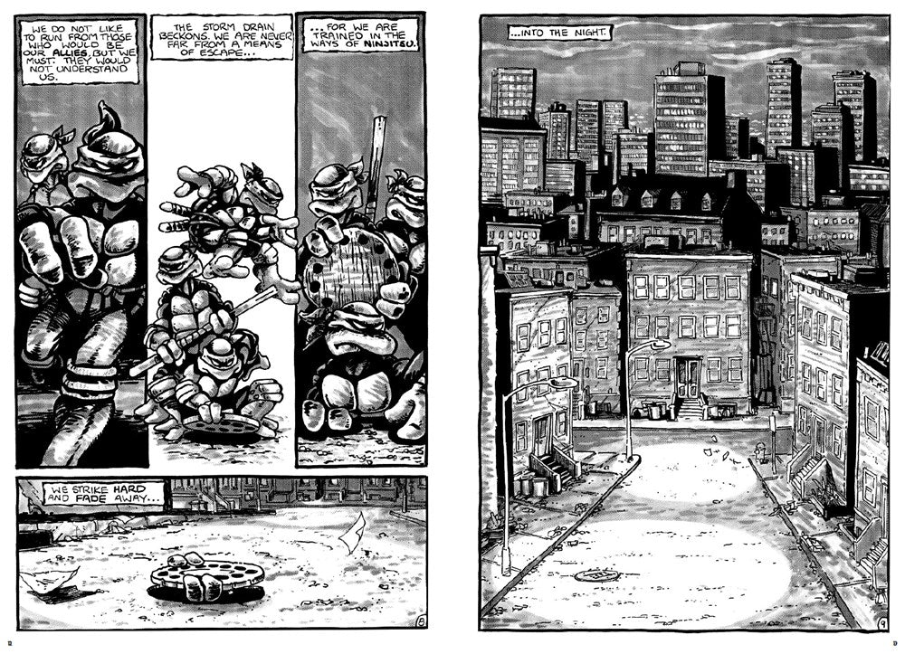 Teenage Mutant Ninja Turtles: The Ultimate Collection, Vol. 1