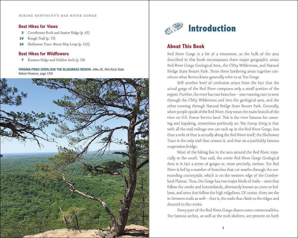 Hiking Kentucky's Red River Gorge