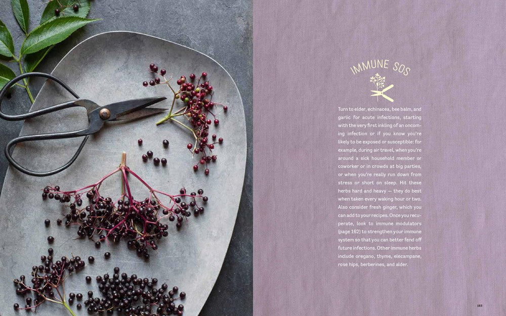 Grow Your Own Herbal Remedies