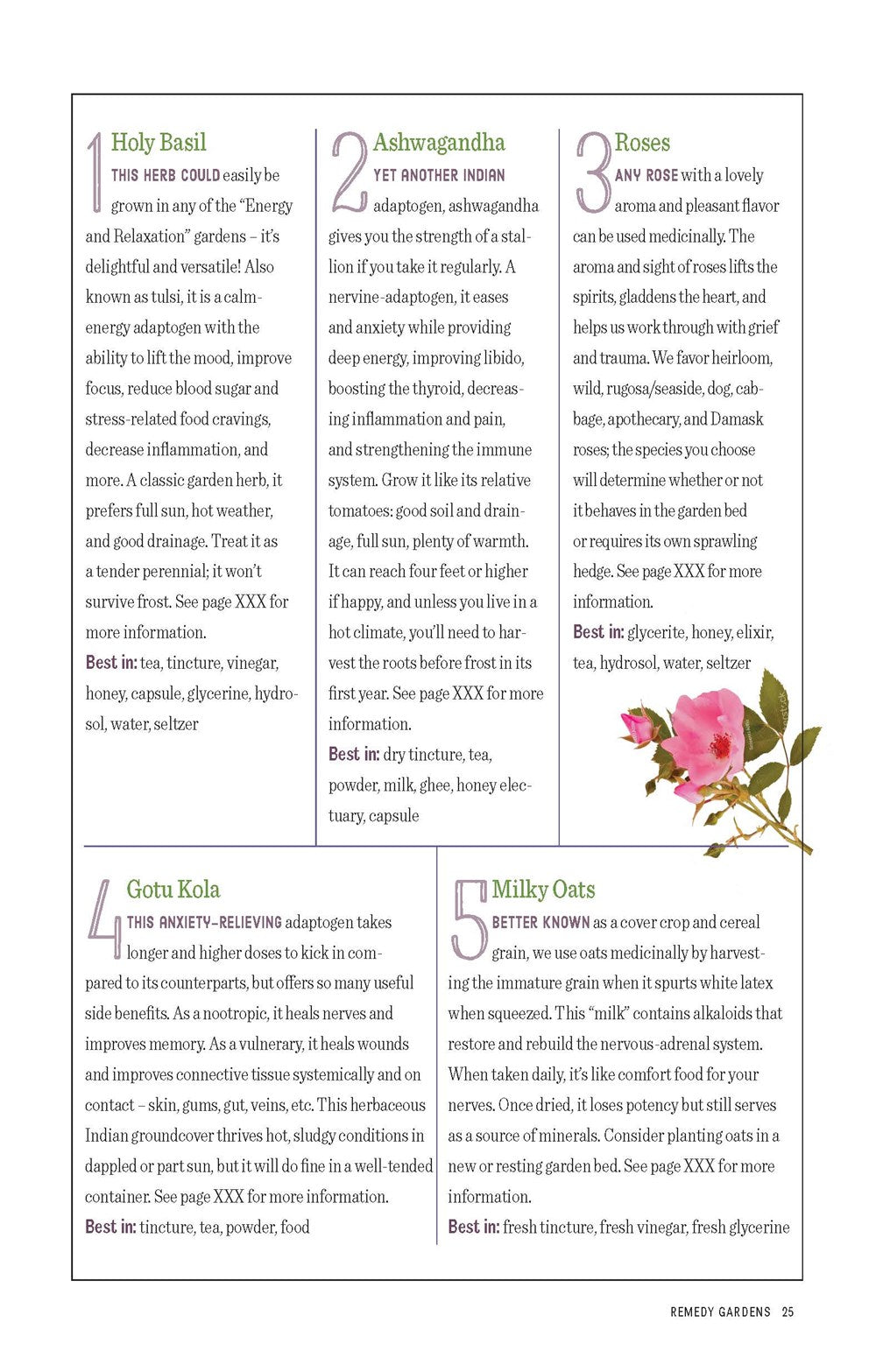 Grow Your Own Herbal Remedies