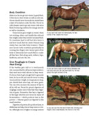 Storey's Guide to Raising Horses, 3rd Edition