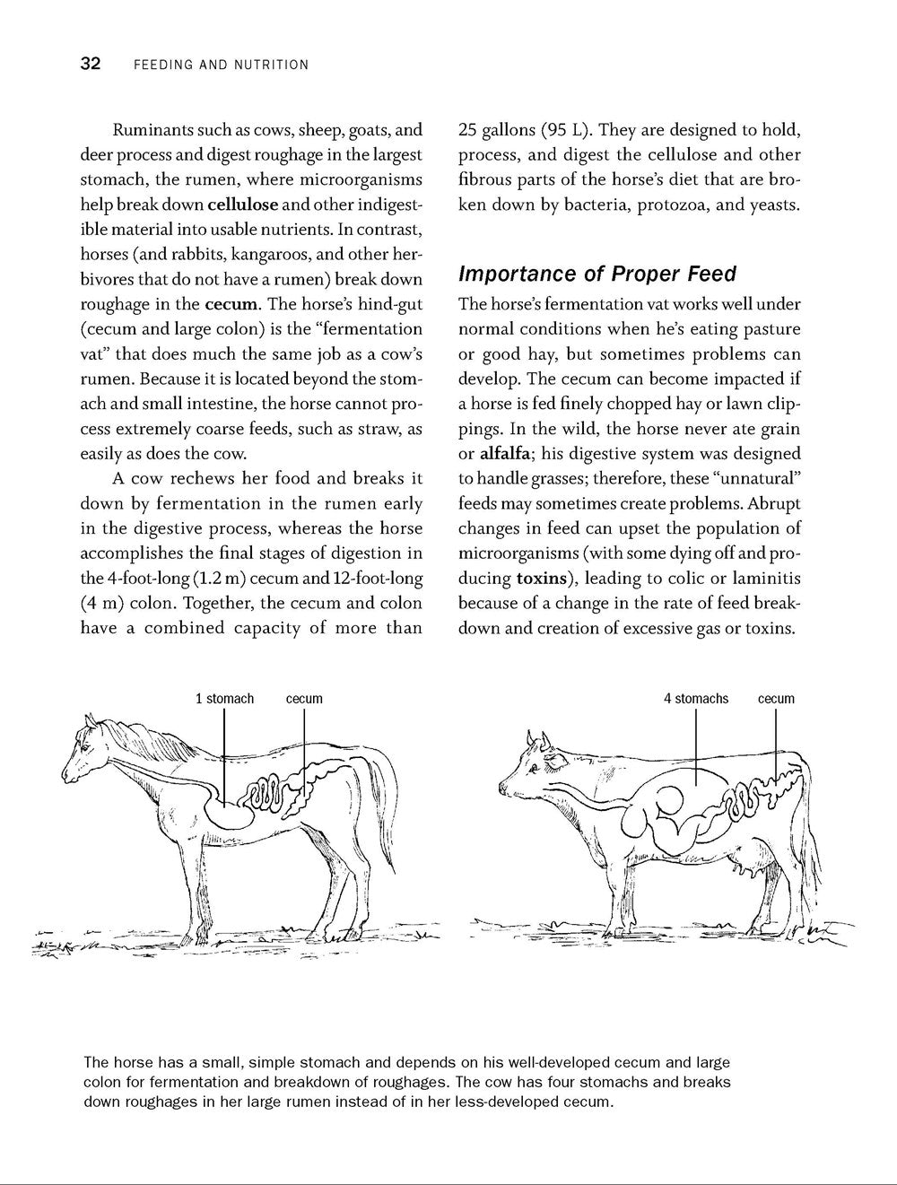 Storey's Guide to Raising Horses, 3rd Edition
