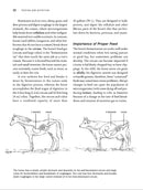Storey's Guide to Raising Horses, 3rd Edition
