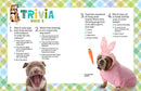 A Kid's Guide to Dogs