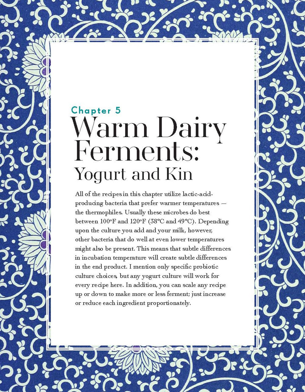 Homemade Yogurt & Kefir