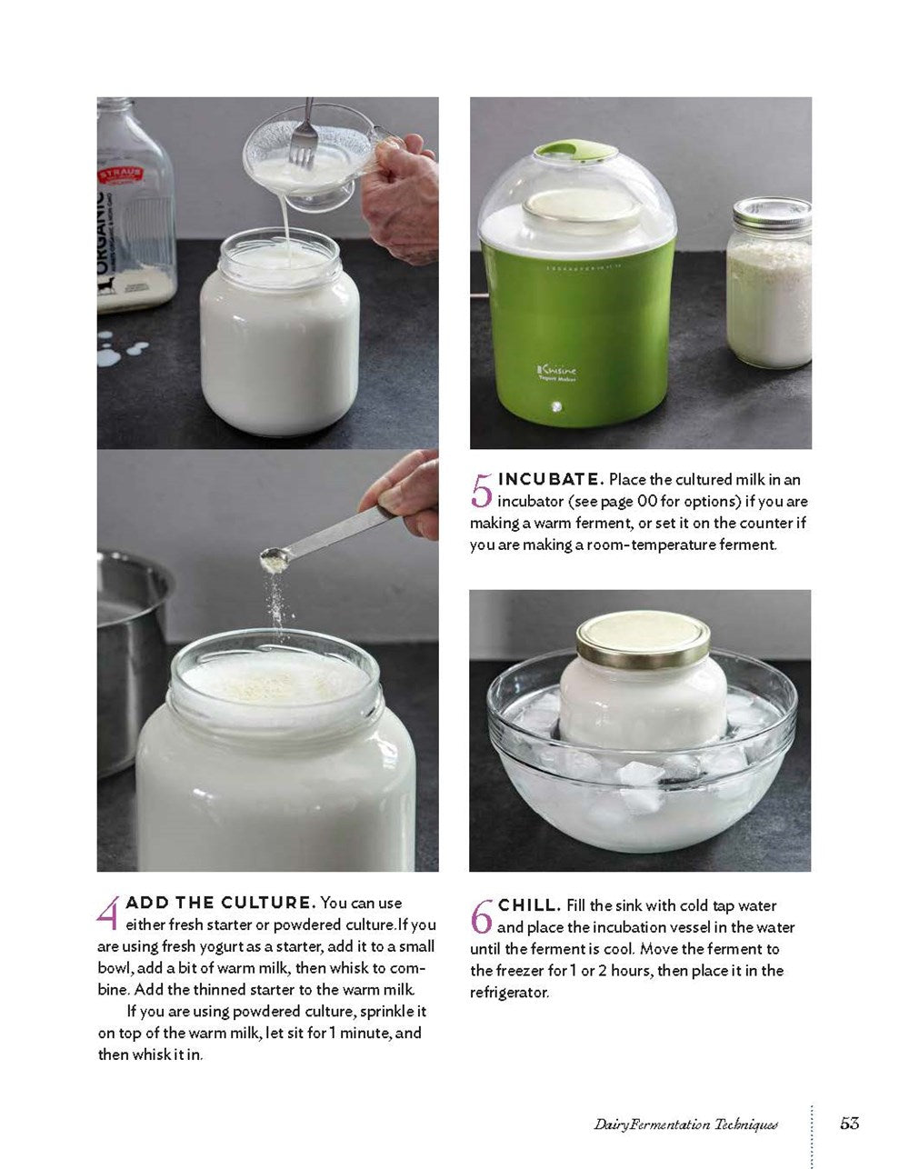 Homemade Yogurt & Kefir