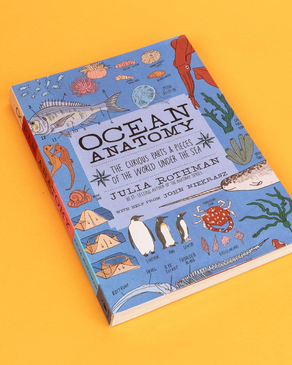 Ocean Anatomy: The Curious Parts & Pieces of the World under the Sea