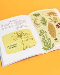 Ocean Anatomy: The Curious Parts & Pieces of the World under the Sea