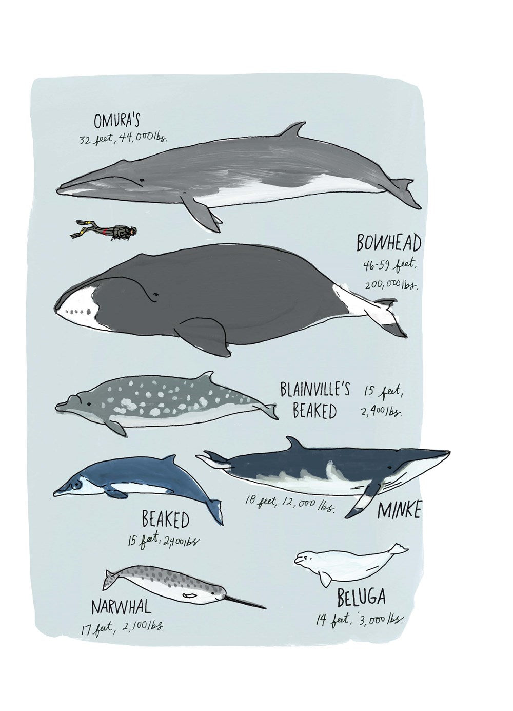 Ocean Anatomy: The Curious Parts & Pieces of the World under the Sea
