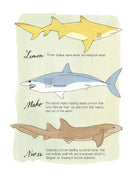 Ocean Anatomy: The Curious Parts & Pieces of the World under the Sea