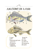 Ocean Anatomy: The Curious Parts & Pieces of the World under the Sea