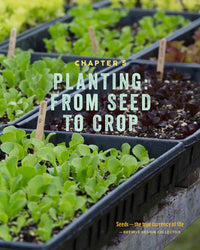 The No-Till Organic Vegetable Farm