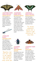 Fluttery, Friendly Tattoo Butterflies and Other Insects