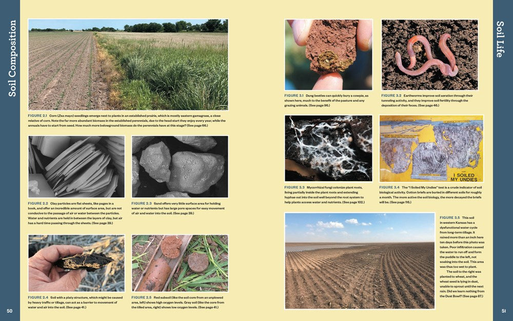 The Complete Guide to Restoring Your Soil