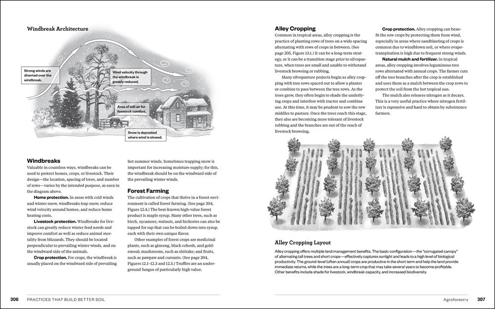 The Complete Guide to Restoring Your Soil