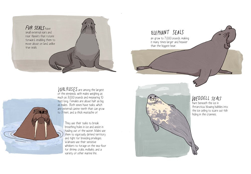 Wildlife Anatomy: The Curious Lives & Features of Wild Animals around the World