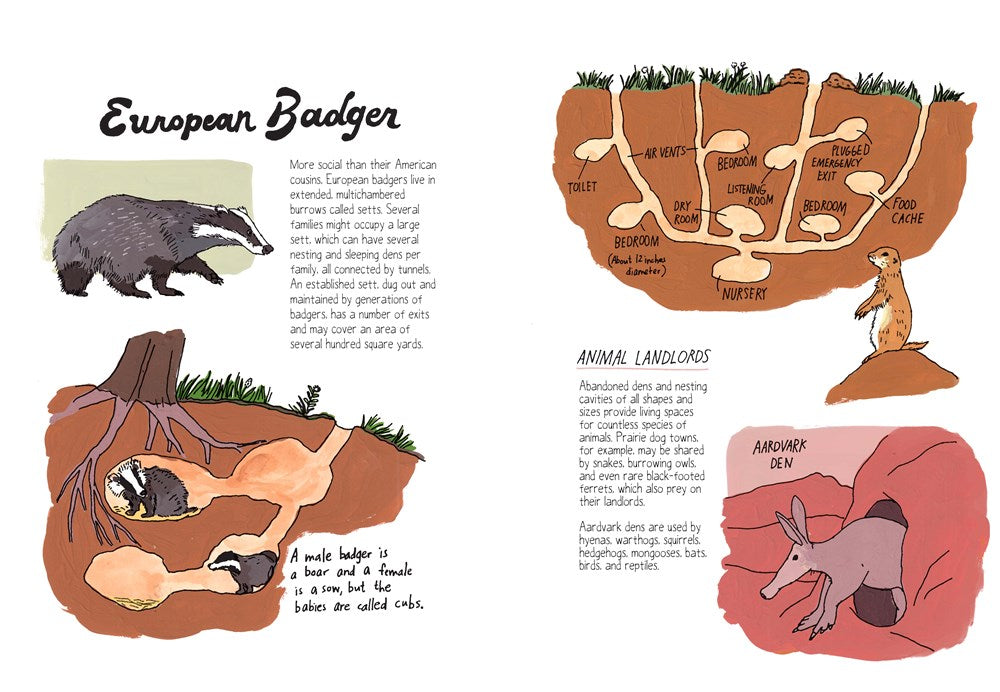 Wildlife Anatomy: The Curious Lives & Features of Wild Animals around the World