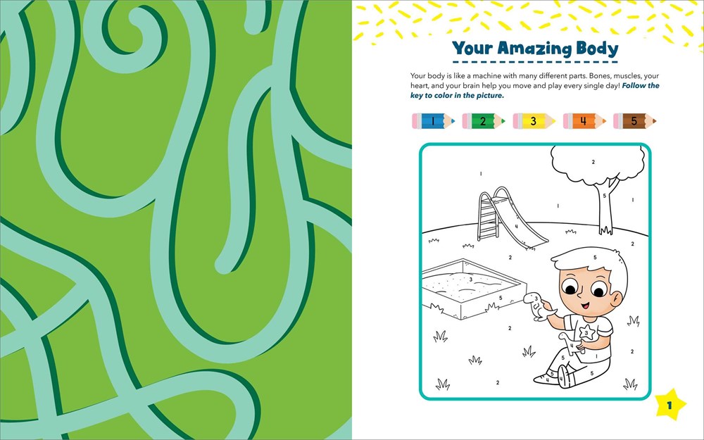 Human Body Preschool Activity Book