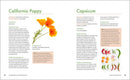 The Big Book of Herbal Medicine: 300 Natural Remedies for Health and Wellness