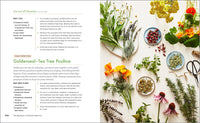 The Big Book of Herbal Medicine: 300 Natural Remedies for Health and Wellness