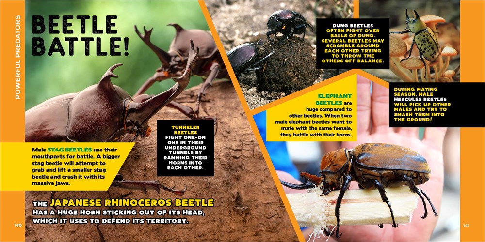 The Fascinating Bug Book for Kids: 500 Startling Facts! (Fascinating Facts)