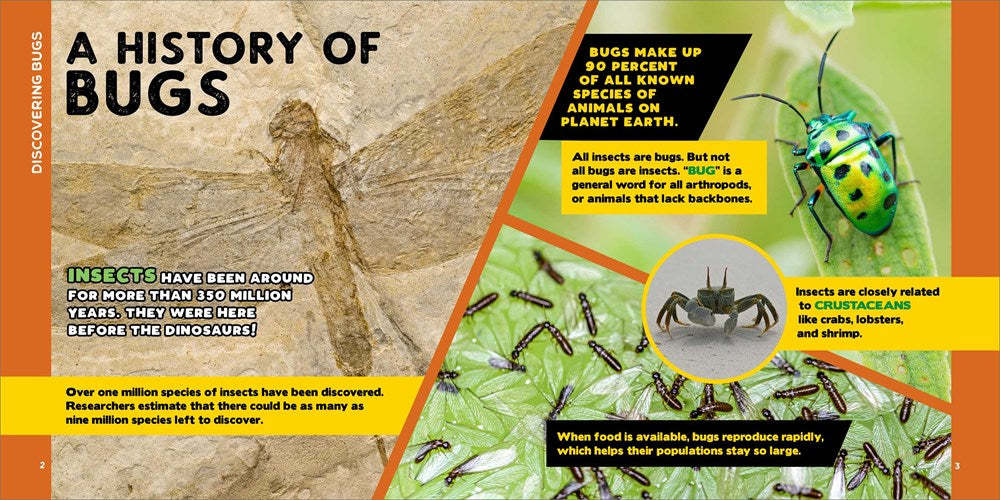 The Fascinating Bug Book for Kids: 500 Startling Facts! (Fascinating Facts)
