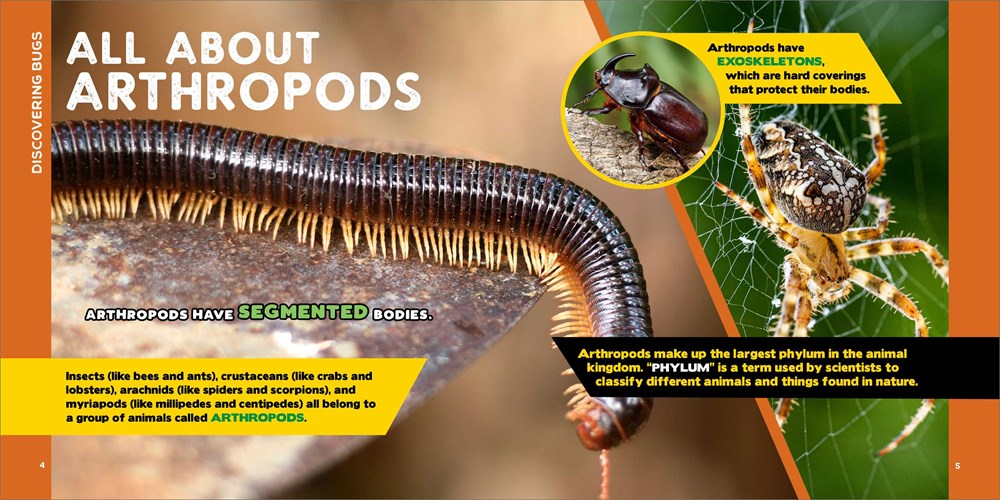 The Fascinating Bug Book for Kids: 500 Startling Facts! (Fascinating Facts)