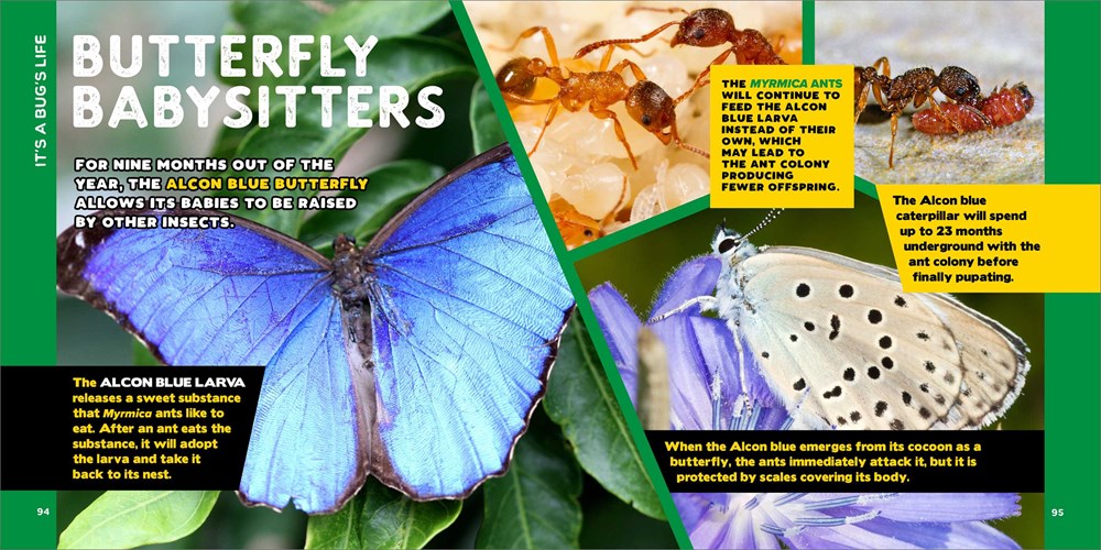 The Fascinating Bug Book for Kids: 500 Startling Facts! (Fascinating Facts)
