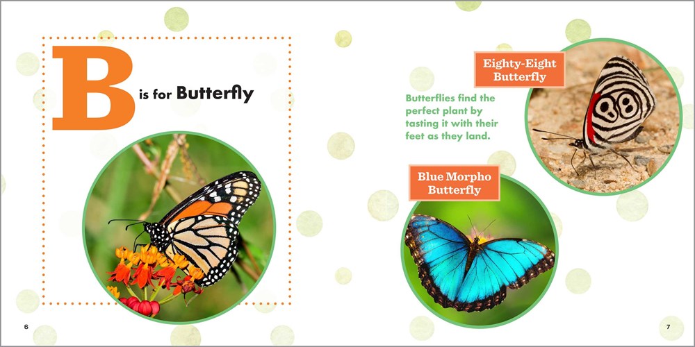 ABC Bug Book for Kids