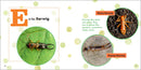 ABC Bug Book for Kids