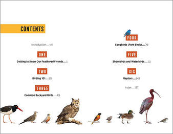 North American Bird Watching for Beginners: Field Notes on 150 Species to Start Your Birding Adventures (Bird Watching Adventures)