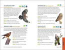 North American Bird Watching for Beginners: Field Notes on 150 Species to Start Your Birding Adventures (Bird Watching Adventures)