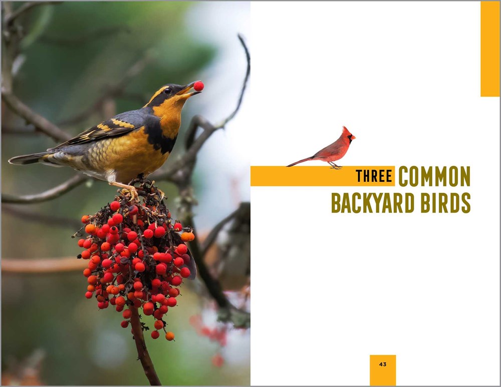 North American Bird Watching for Beginners: Field Notes on 150 Species to Start Your Birding Adventures (Bird Watching Adventures)