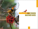 North American Bird Watching for Beginners: Field Notes on 150 Species to Start Your Birding Adventures (Bird Watching Adventures)
