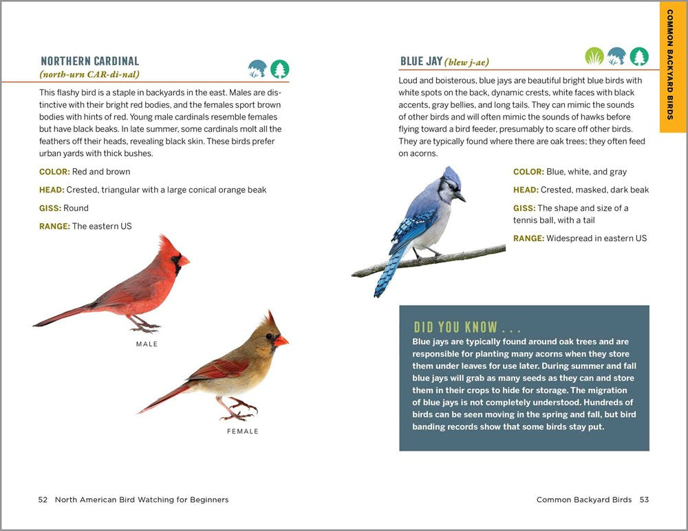 North American Bird Watching for Beginners: Field Notes on 150 Species to Start Your Birding Adventures (Bird Watching Adventures)