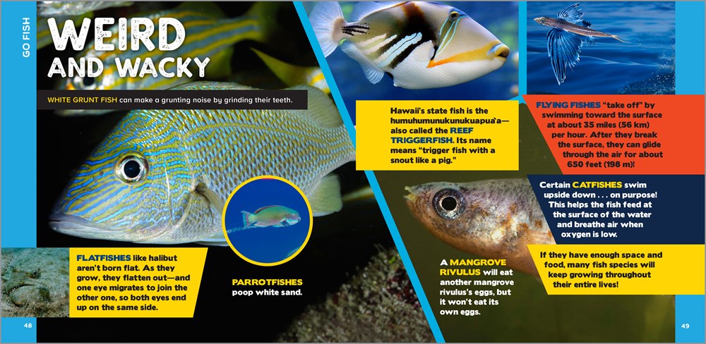 The Fascinating Ocean Book for Kids: 500 Incredible Facts! (Fascinating Facts)