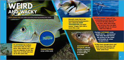 The Fascinating Ocean Book for Kids: 500 Incredible Facts! (Fascinating Facts)