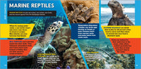 The Fascinating Ocean Book for Kids: 500 Incredible Facts! (Fascinating Facts)