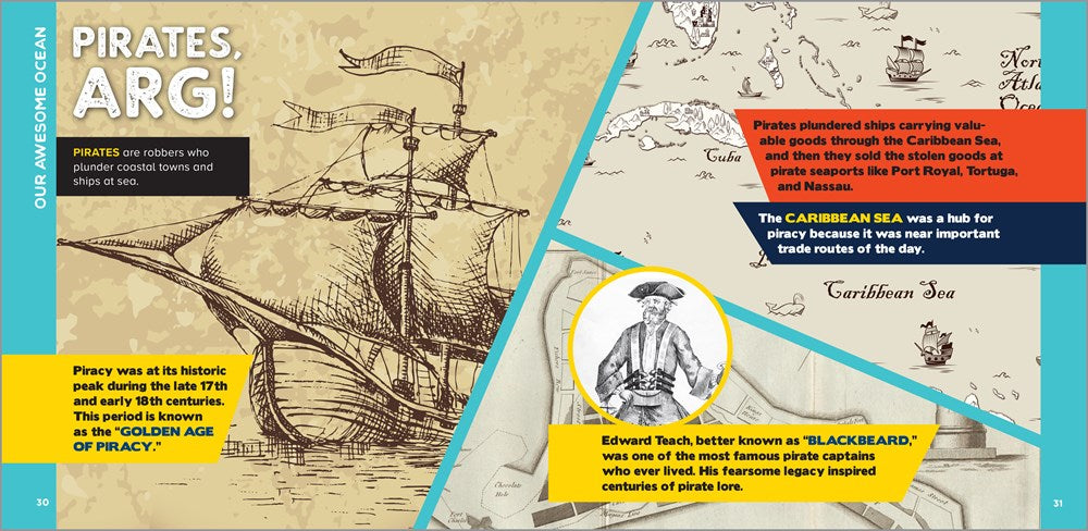 The Fascinating Ocean Book for Kids: 500 Incredible Facts! (Fascinating Facts)