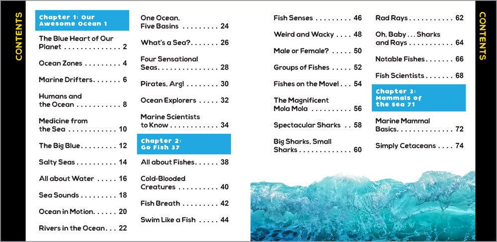 The Fascinating Ocean Book for Kids: 500 Incredible Facts! (Fascinating Facts)