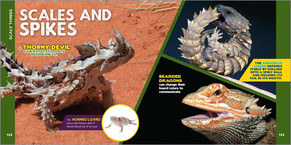 The Fascinating Animal Book for Kids: 500 Wild Facts! (Fascinating Facts)