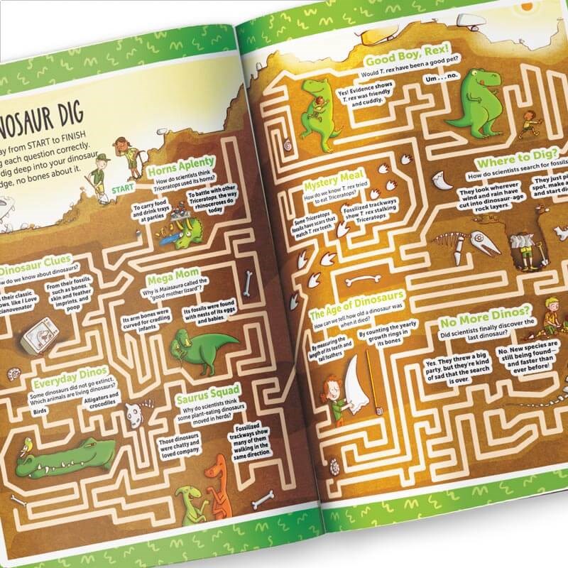The Great Big Book of Really Hard Puzzles: 256 Pages of Mind-Twisting Mazes, Logic Games and Hidden Pictures Puzzles, Highlights Activity Book for Kids Ages 8 and Up (Great Big Puzzle Books)