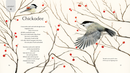 All Creation Waits ― Children's Edition: The Advent Mystery of New Beginnings for Children