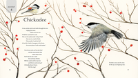 All Creation Waits ― Children's Edition: The Advent Mystery of New Beginnings for Children