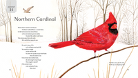 All Creation Waits ― Children's Edition: The Advent Mystery of New Beginnings for Children