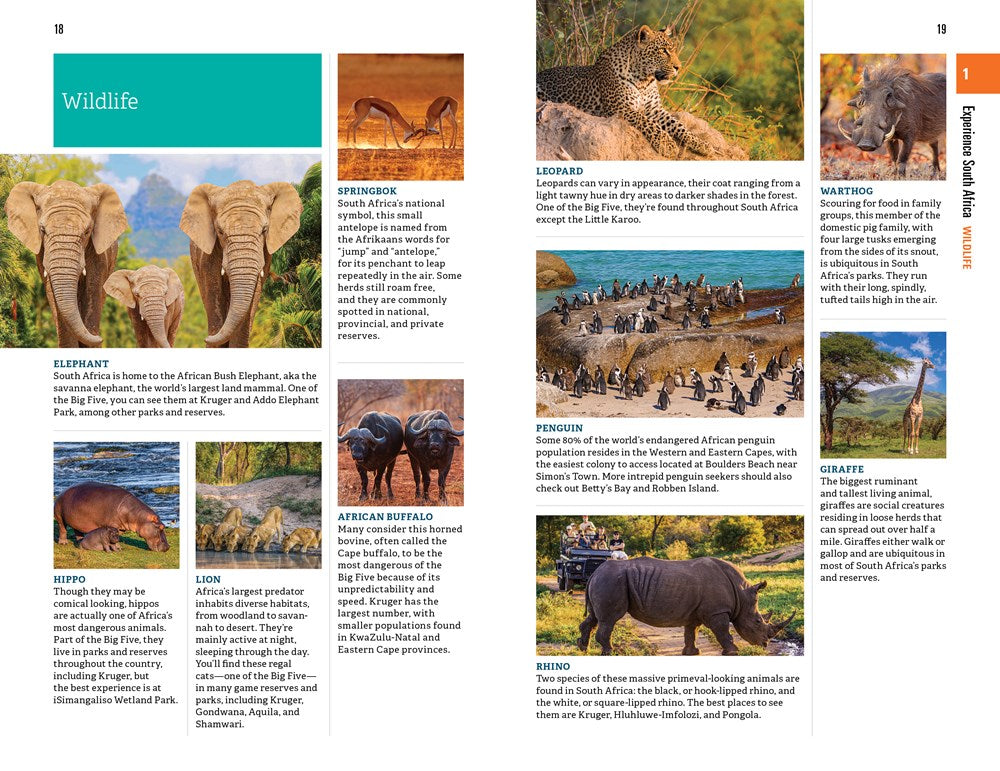 Fodor's Essential South Africa