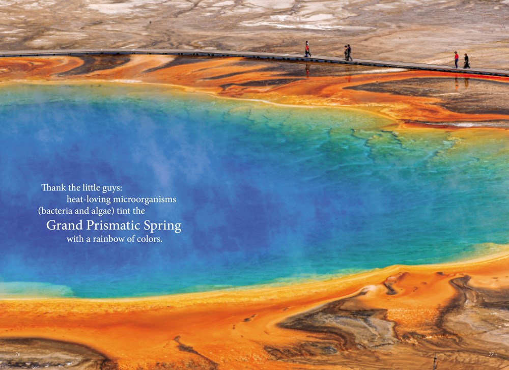 Fodor's Compass American Guides: Yellowstone and Grand Teton National Parks