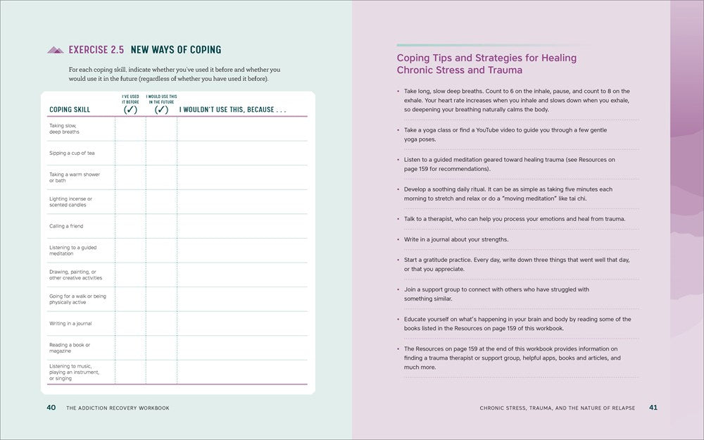 The Addiction Recovery Workbook: Powerful Skills for Preventing Relapse Every Day (Addiction Recovery Resources)