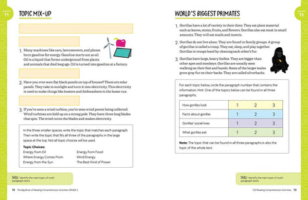 The Big Book of Reading Comprehension Activities, Grade 2: 120 Activities for After-School and Summer Reading Fun