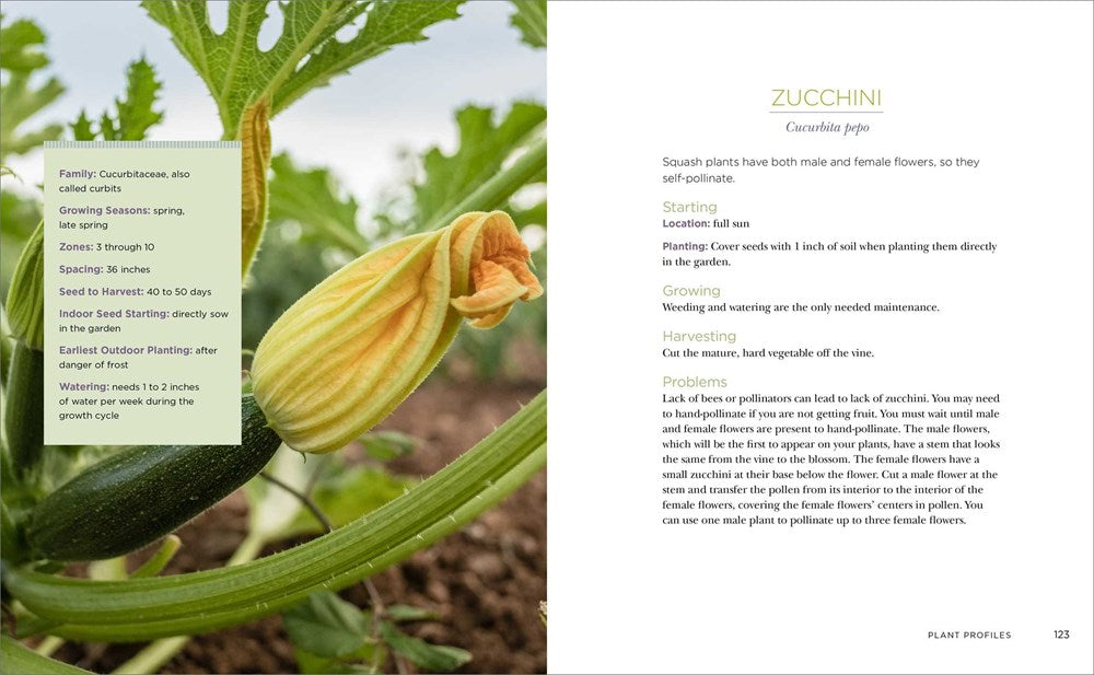 Raised-Bed Gardening for Beginners: Your Guide to Growing Sustainability and Self-Sufficiency